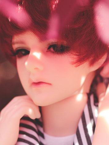 BJD Limited Edition Terra 46cm Boy Ball-jointed doll
