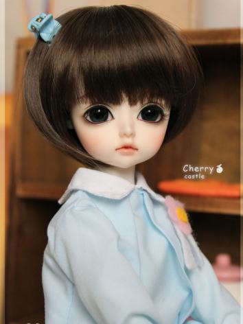 BJD Costle 27cm Boy Ball Jointed Doll
