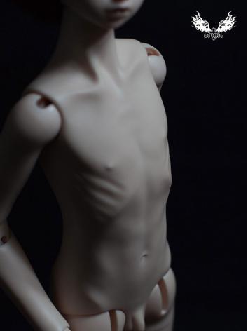 BJD 48cm Male Single Torso Body Ball Jointed Doll