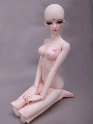 BJD Body 66cm Girl/Ningfei body Boll-jointed doll
