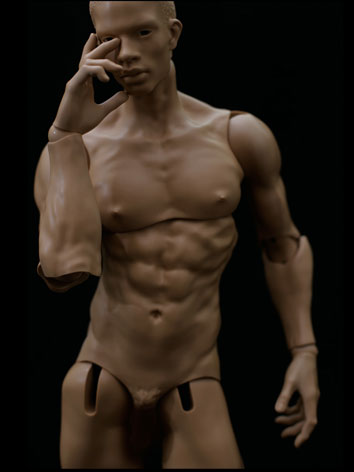 ball jointed doll male body