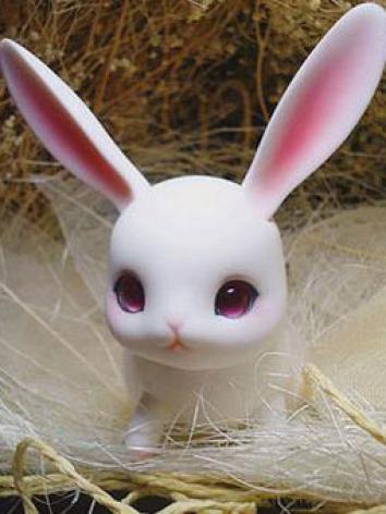 BJD's pet Ruby Ball-jointed doll