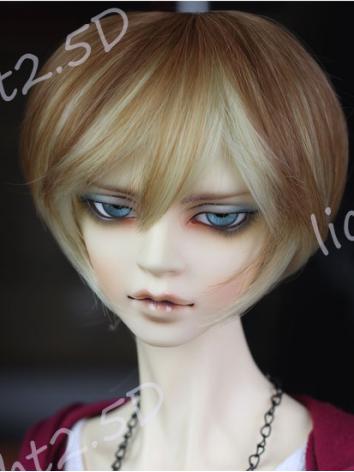 1/3 1/4 Wig Boy Short Hair【572】for SD/MSD Size Ball-jointed Doll