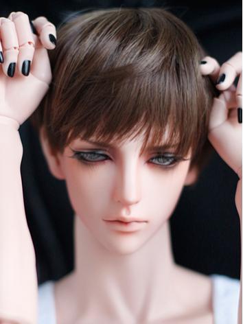 1/3 Wig 9-10inch Boy Dark Brown Short Hair A04 for SD/70cm Size Ball-jointed Doll