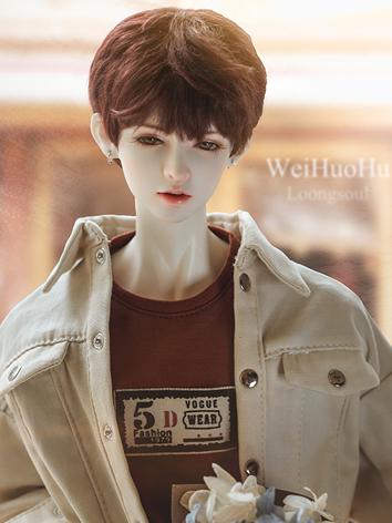BJD Wei Huo Hu(Modern Type) 68cm Boy Ball-jointed doll