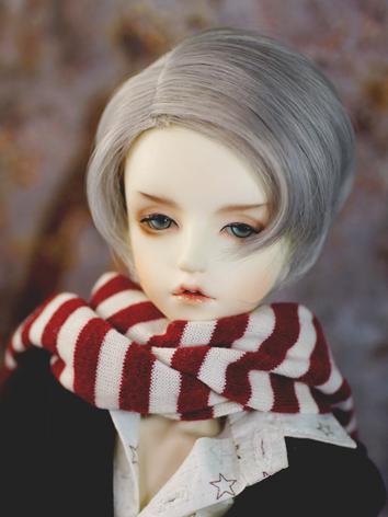 BJD Wig Boy Silver Gray Hair for SD Size Ball-jointed Doll