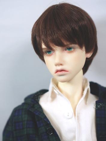 BJD Wig Boy Chocolate Short Hair for SD Size Ball-jointed Doll