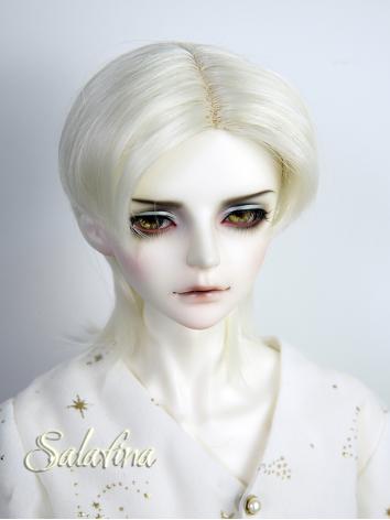 BJD Wig Boy Short Medium Distribution Hair for SD/70cm Size Ball-jointed Doll
