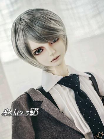 BJD Wig Boy Silver Short Hair [-NO.31-] for SD/70cm Size Ball-jointed Doll