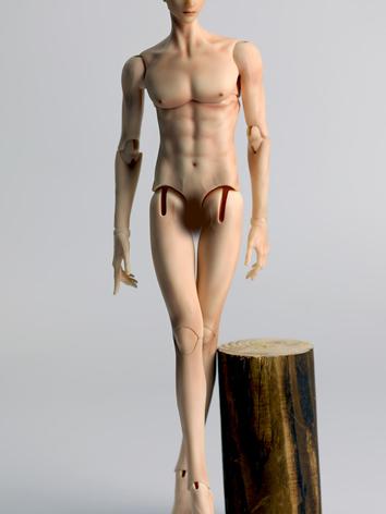 BJD 32cm Male Body Adagio Ball-jointed doll