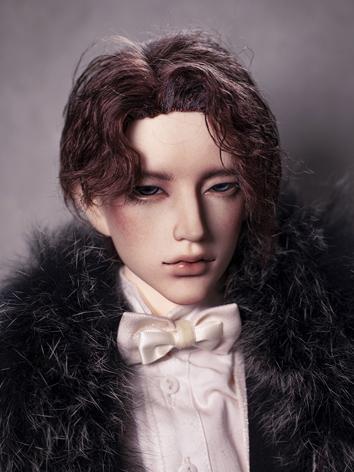 BJD Wig Boy Brown Short Curly Hair for SD Size Ball-jointed Doll