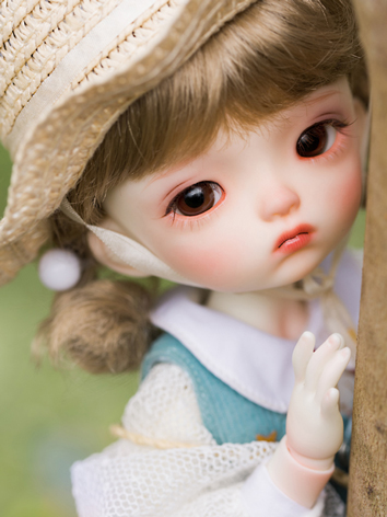 BJD Mini Jing 30cm Girl Boll-jointed doll_DZ BB Size Doll 