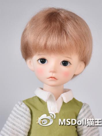BJD Wig Girl/Boy Short Hair for YOSD Size Ball-jointed Doll