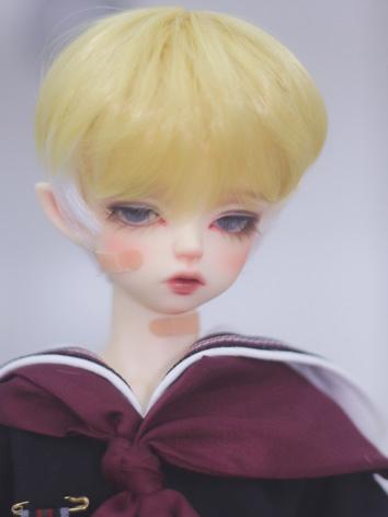 BJD Wig Boy/Girl Double Colors Short Hair for SD/MSD/YOSD Size Ball-jointed Doll