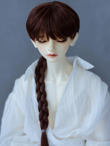 BJD Wig Boy/Girl Braid Short Hair for SD/MSD/YOSD Size Ball-jointed Doll
