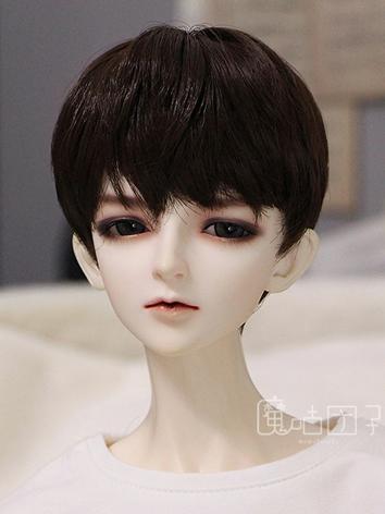 BJD Wig Boy Chocolate Color Short Hair for SD Size Ball-jointed Doll