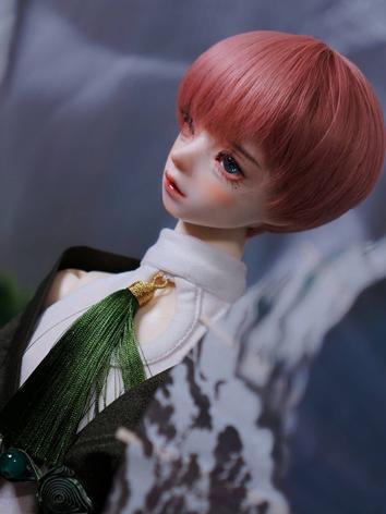 BJD SD Cole 62cm Boy Ball Jointed Doll