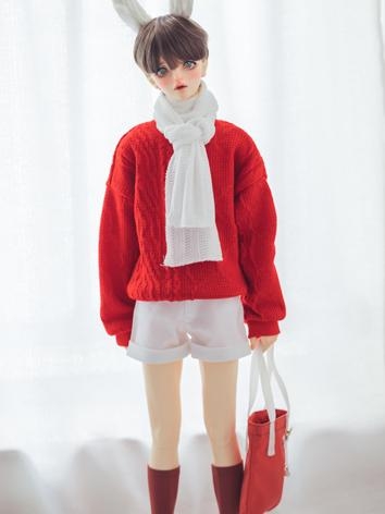 BJD Clothes Sweater Shorts Scarf Stockings Bag Suit T009 for MSD SD 70cm Size Ball-jointed Doll