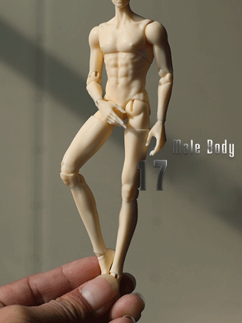BJD Male Body 17cm Evolve Body Ball Jointed doll