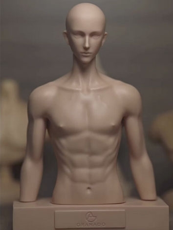 BJD Male Chest Stand for YOSD Size Ball Jointed Doll
