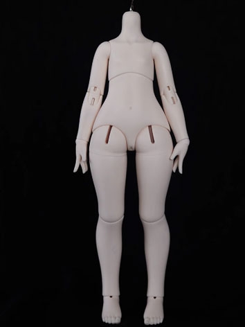 BJD Body 40cm (Human Leg) 4 Ver. Body Ball-jointed Doll