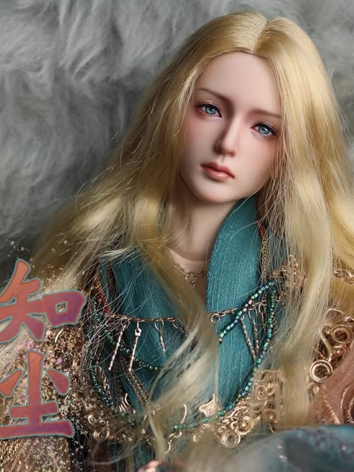 BJD 49Dustin Boy Ball Jointed Doll