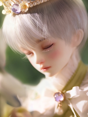 BJD Eric SP 45cm Boy Ball-jointed Doll
