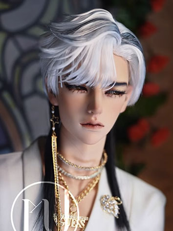 BJD Wig Boy Wolf Tail High Temperature Hair for SD Size Ball-jointed ...