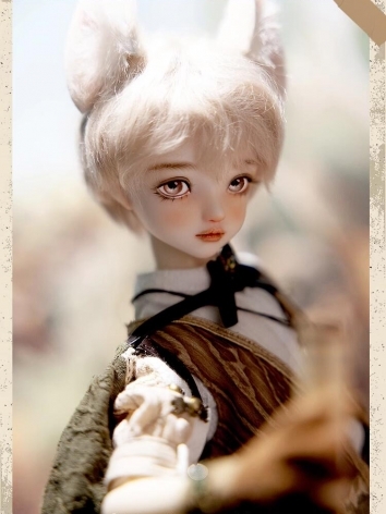 BJD Doll Todd 45cm Boy Ball Jointed Doll