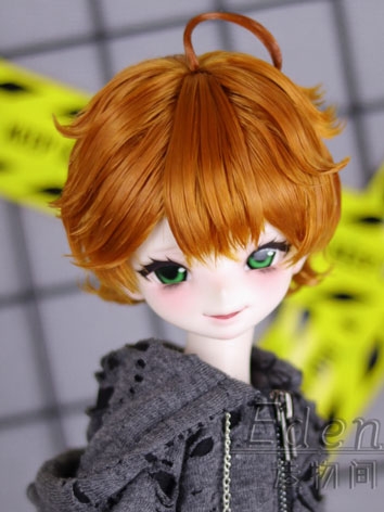BJD Wig Style Carrot Color ...