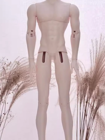 BJD Body 1/4 Special Male (...