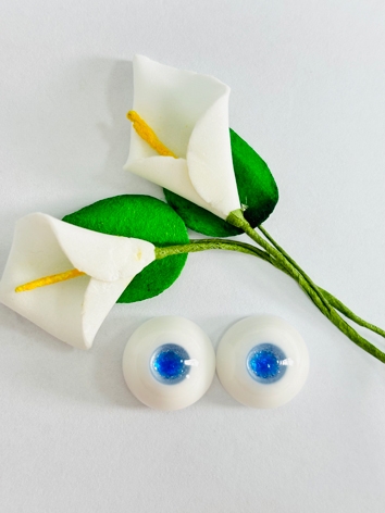 BJD Plaster Blue Eyes (14) ...