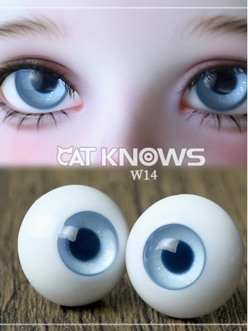 BJD Resin Blue Eyes W14 12m...