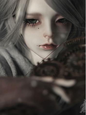 30% OFF BJD Fullset Gray 62...