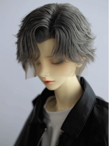 BJD Wig Boy Silver Gray High Temperature Short Style Wig for SD Size Ball Jointed Doll