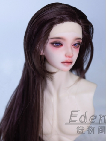 BJD Male Tea Brown Basic Wi...