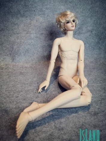 BJD Body ID66 65cm Boy Body...