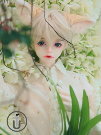 BJD 302 70cm Boy Ball-jointed doll