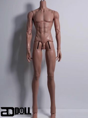 20% OFF BJD Shadow (Guang Ying) Less Muscle Male Body 75cm Ball-jointed doll